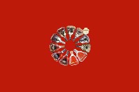 玛多回收红酒